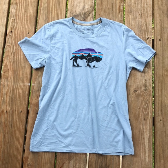 Patagonia Tops - Patagonia Light Blue Bison Logo Tee Shirt